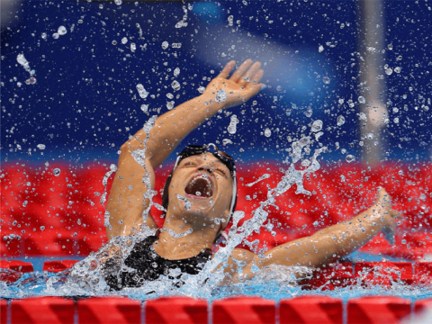 Karolina Pelendritou WordPress website development