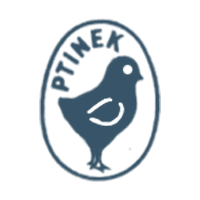 Ptinek WordPress website
