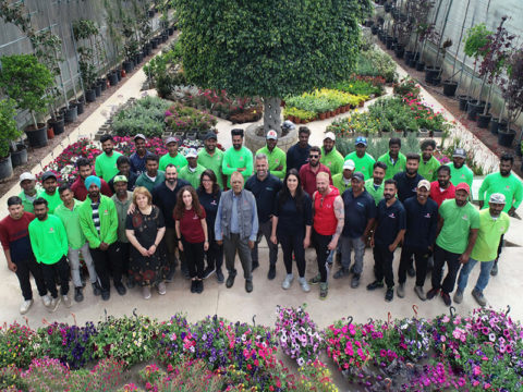 Soteris Shaelos website