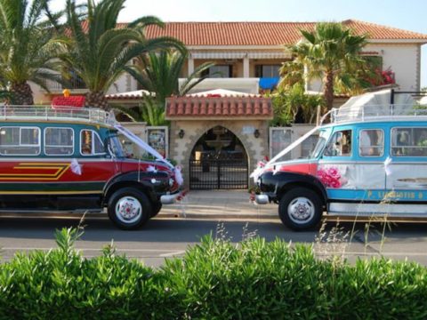 the garden of eden cyprus